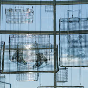 The Dreams We Carry by Kipp Kobayashi, Image 7.