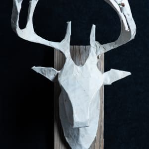 Deer head #1 by Phillip Koski