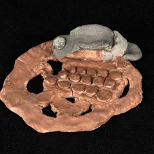 Concertina by Clark Matthews