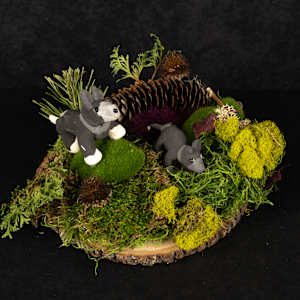 Whispers of the Wild by Bruce Mosites-Anderson