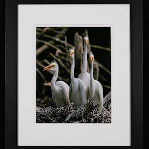 A Family Moment by Eileen Sabes