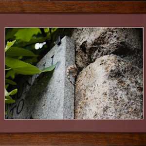 You Can't See Me… by Amanda Wirsig
