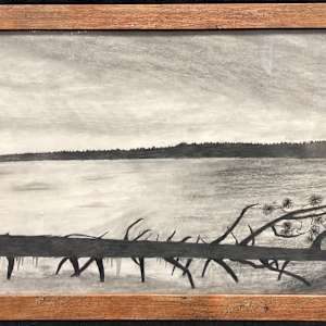 Snowless Winter by William Griffin