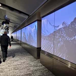 NORTH by Mary Ellen Childs