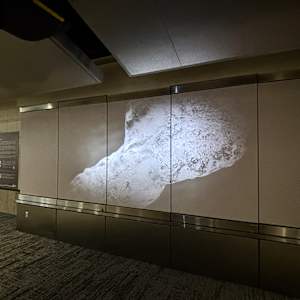 NORTH by Mary Ellen Childs 