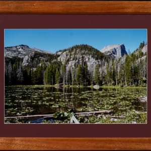 Nymph Lake, Rocky Mountain National Park, Colorado, USA by Amanda Wirsig