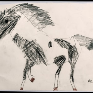 Wild Stallion by Ariel Ankrum