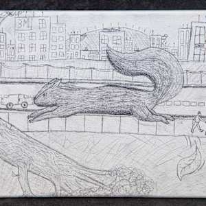 Chaos Is Life by Mackenzie Carlin