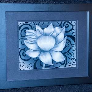 Colorless Flower by Adelynn Clausen