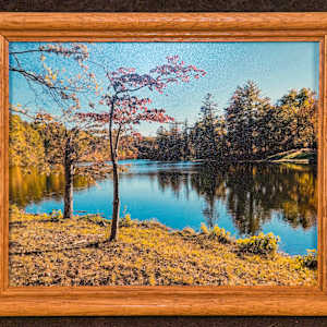 Red Creek by Evelyn Domino