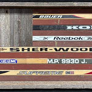 I Pledge Allegiance to the Puck by Anthony Jarosz