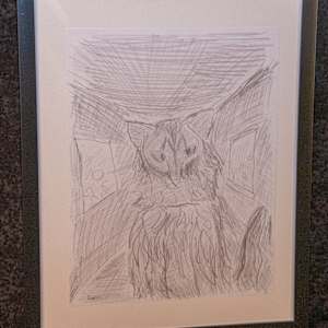 Cat 1 by Liam Matthews