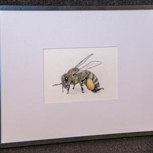 Bee by Katie Pearson