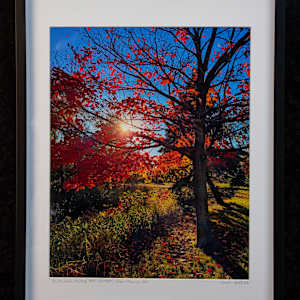 Autumn Hues Before Sunset by David Pedersen