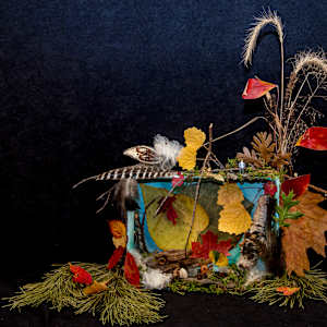 Nature's Playground by Jonathan Raby