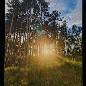 Sun Rays by Kayla Schroeder