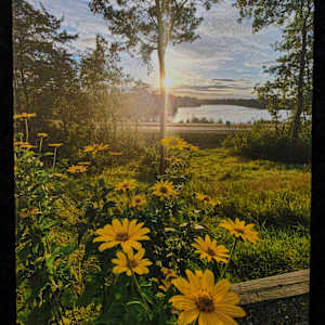 Golden Wild Flowers by Kayla Schroeder