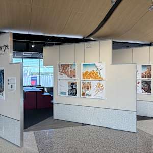 Stars of the North Story Time 