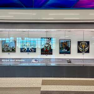 Wings and Wildlife by Laura Ruprecht 