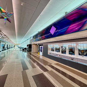 Wings and Wildlife by Laura Ruprecht 