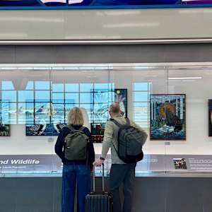 Wings and Wildlife by Laura Ruprecht 