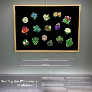 Beading the Wildflowers of Minnesota by Alicia De La Cruz, Image 1.