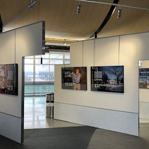 Kalejdoskop: Faces of Solidarity by Minnesota Polish Medical Society 