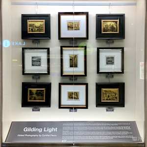 Gilding Light by Cynthia Fleury 