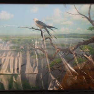 Collecting Memory by Jeff Millikan