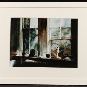 Cat in the Window by Florence Hill