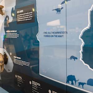 Travel Through Time: Fossils from the Science Museum of Minnesota by Science Museum of Minnesota 