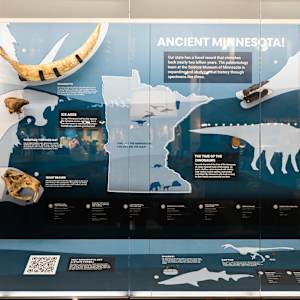 Travel Through Time: Fossils from the Science Museum of Minnesota by Science Museum of Minnesota 