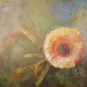 Banksia Integrifolia (Coastal Banksia) (framed) by Trudy Rice