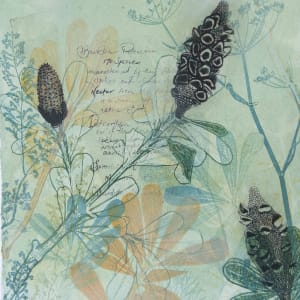 Banksias in the Spring (with Text) (unframed) by Trudy Rice