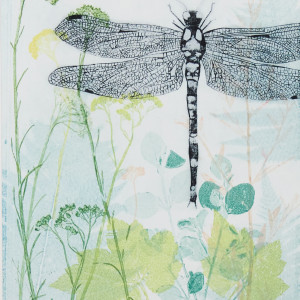 Dragonfly amongst the healing curry plant by Trudy Rice