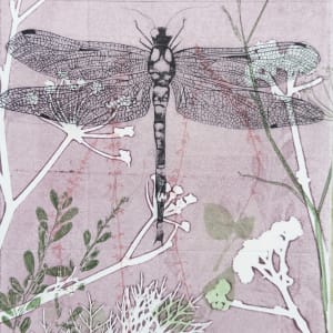 The Royal Dragonfly by Trudy Rice