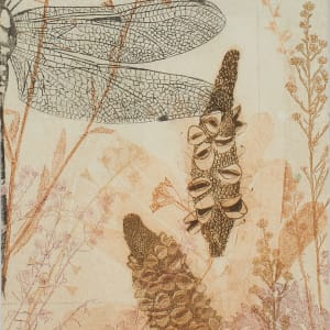 Happy Banksias (Framed) by Trudy Rice