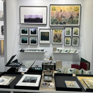 Catching the Fleeting Light (Framed) by Trudy Rice 