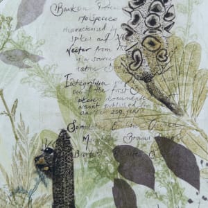 Native Bee in the Banksias (with Text) by Trudy Rice