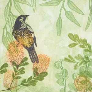 Regent Honeyeater at a Banksia Feast (unframed) by Trudy Rice