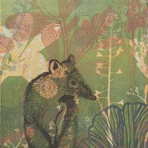 The Timid Bandicoot (Unframed) by Trudy Rice