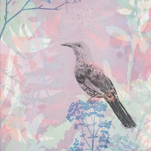 The Wattlebird visiting at Dusk (unframed) by Trudy Rice