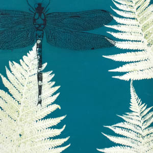 Dragonfly in the ferns by Trudy Rice