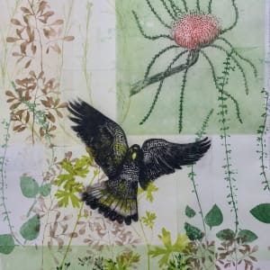 Flying Black Cockatoo and My Favourite Banksia by Trudy Rice