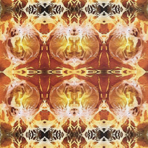 Spirits of the Forest, Image 1.