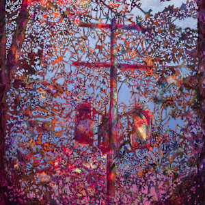 Transformed at Sunset by Steve Miller