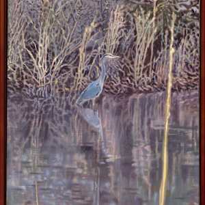 Heron on the Pond by Steve Miller 