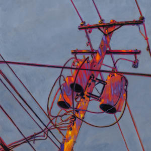Electric Pole by Steve Miller