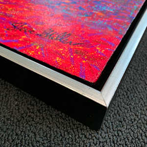 Fire Falls by Steve Miller 