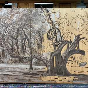 Old Tree aka The Park by Steve Miller, Image 3.